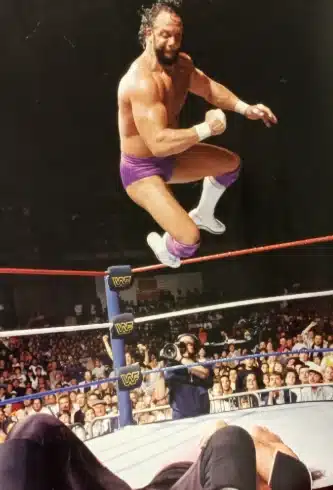 Pro Wrestling Strikes: Punches, Kicks & More 2 Macho Man Randy Savage Perfoeming The Elbow Drop