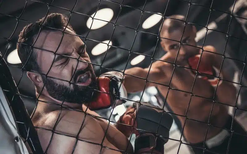 Mma Front Page Image