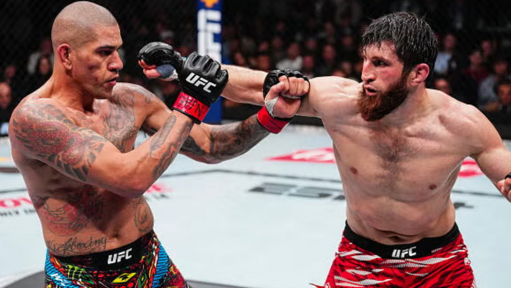 Magomed Ankalaev And Former Champion Alex Pereira