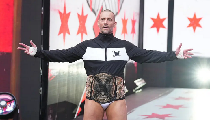 Cm Punk At All In